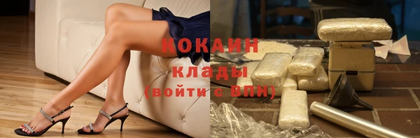 дмт Осинники