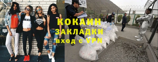 трава Арсеньев