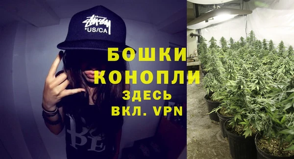 трава Арсеньев
